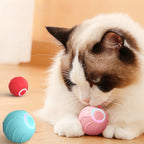 PawBall – Smart Toy
