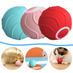 PawBall – Smart Toy