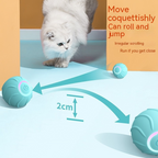 PawBall – Smart Toy